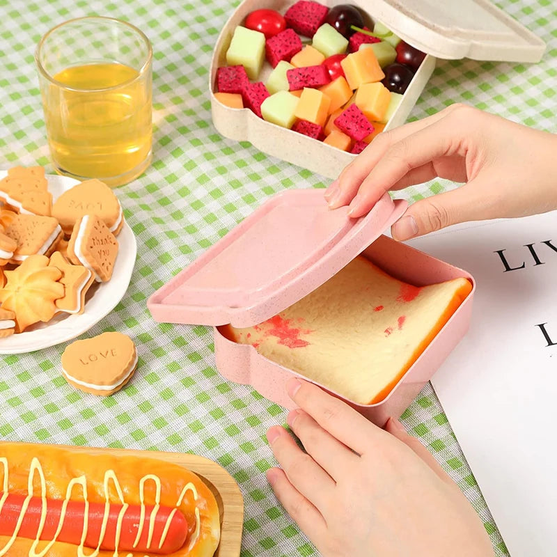 Boite a Sandwich lunch box original