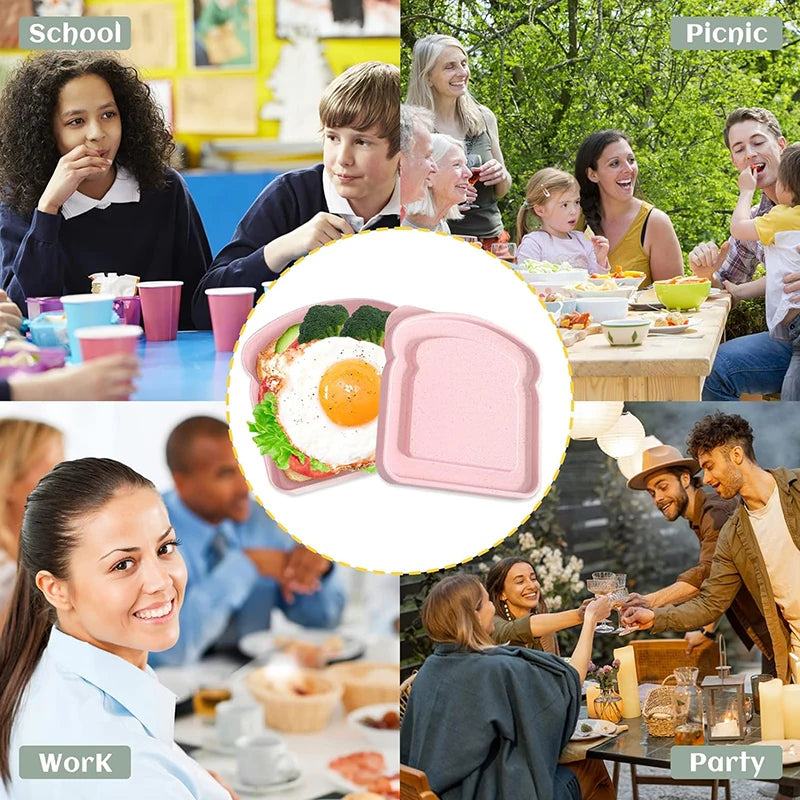Boite a Sandwich lunch box original